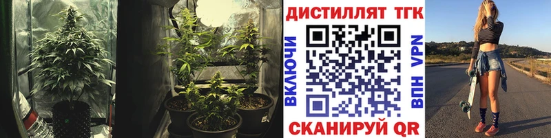 ссылка на мегу рабочий сайт  Ленинск  ТГК жижа 